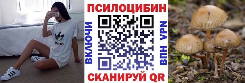 Галлюциногенные грибы мицелий  где купить наркоту  Разумное 